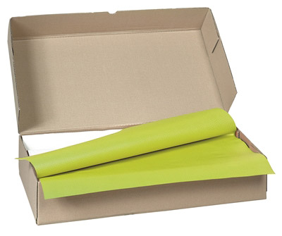 Nappe papier 80 x 120 cm vert kiwi colis 250